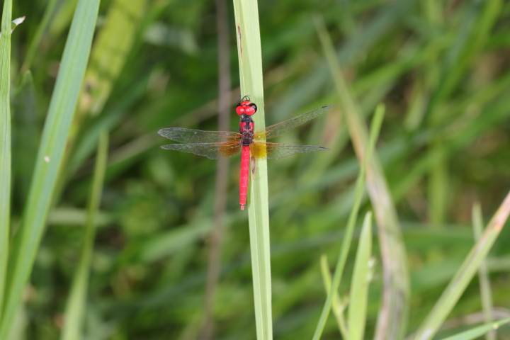 微信图片_20210601130727.jpg 微信图片_20210601130727.jpg