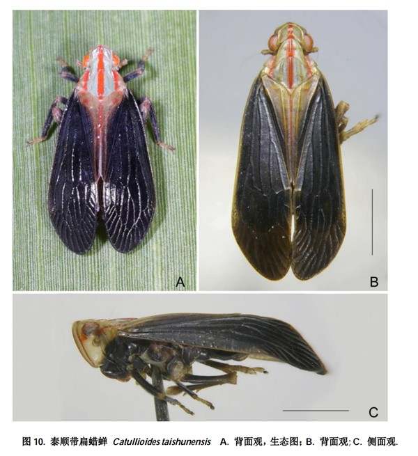 1622608269960481.jpg?x-oss-process=style/w10 LOCAL202106011003000368701878520.jpg?x-oss-process=style/w10